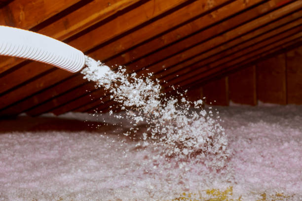 Best Geographic-Specific Insulation Services in Hicksville, OH