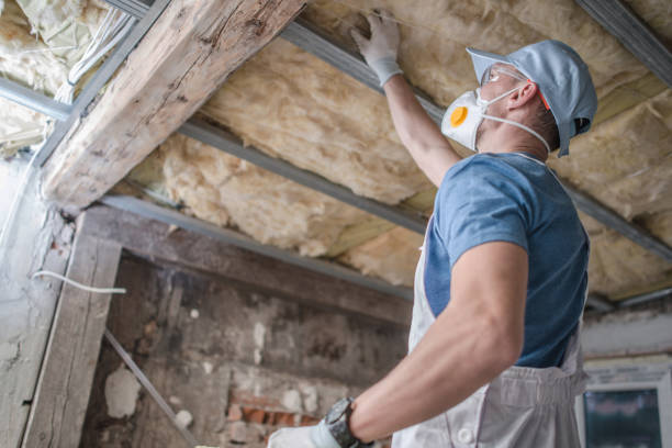 Best DIY Insulation Kits and Guidance in Hicksville, OH